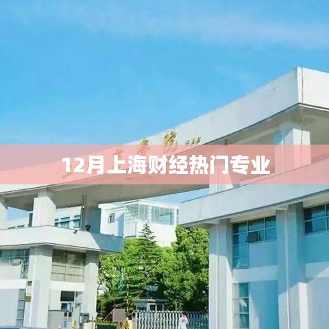 上海财经热门专业榜单揭晓（12月版）