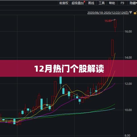 12月股市热门个股深度解析