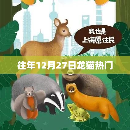 龙猫历年年末热度的秘密，揭秘十二月二十七日的魅力
