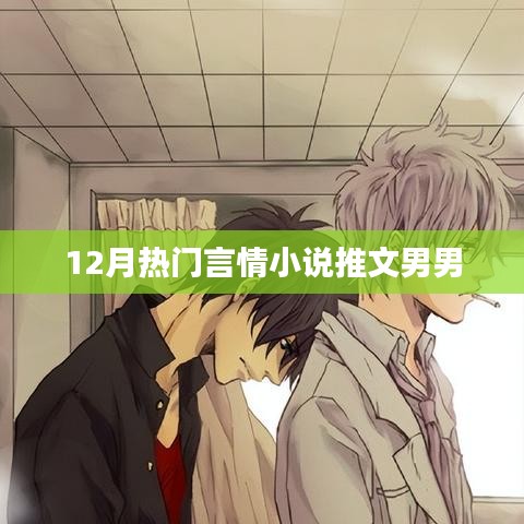 12月必读言情小说推文，男男情深故事