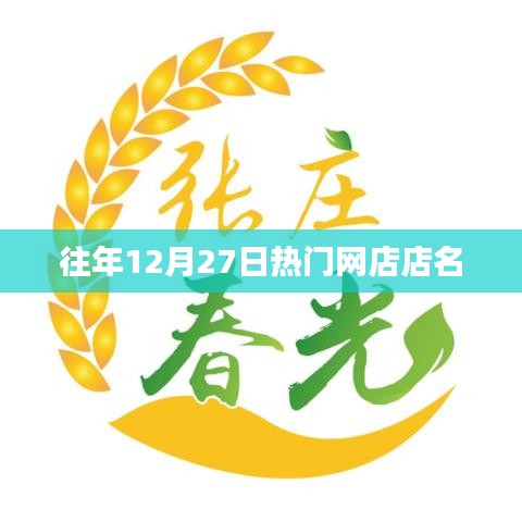 往年12月27日热门网店一览