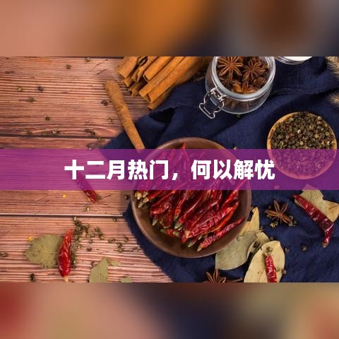 十二月热门解忧之道