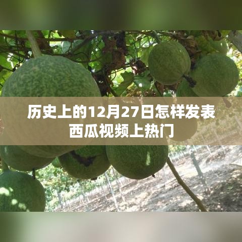 历史12月27日，西瓜视频上热门策略