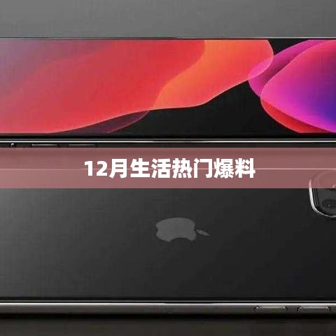 12月生活热点爆料大盘点