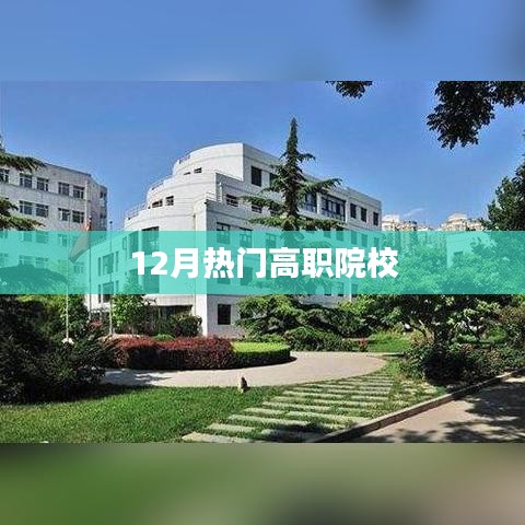 12月热门高职院校榜单揭晓