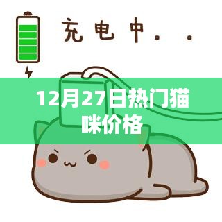12月27日热门猫咪价格概览