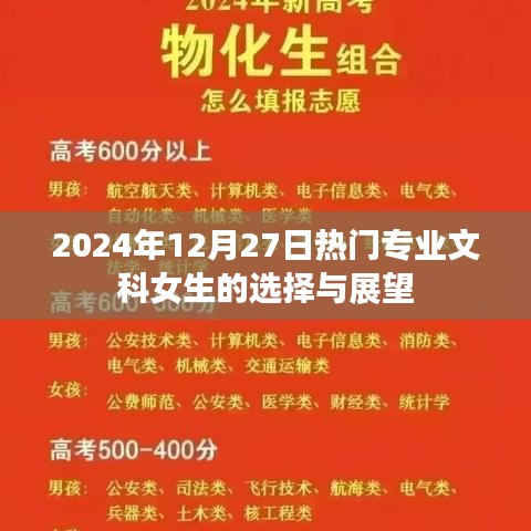 文科女生热门专业选择与展望，2024年12月趋势分析