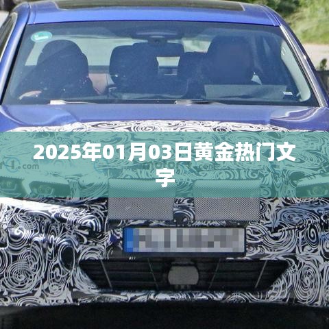 『黄金热点聚焦，2025年1月3日文字盛宴』