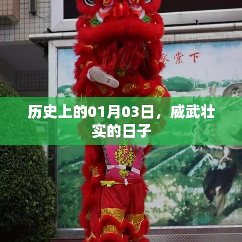 历史上的1月3日，威武壮实的日子概览