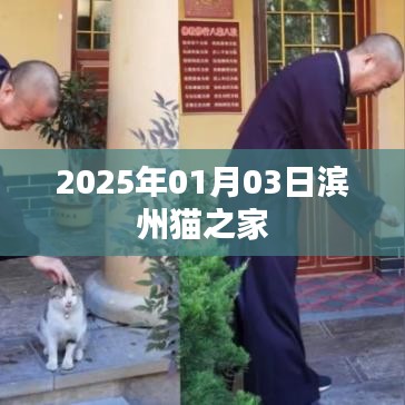 滨州猫之家，温馨家园迎新年 2025年1月3日