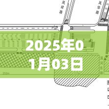 济南赏梨盛宴，2025年赏梨之旅开启