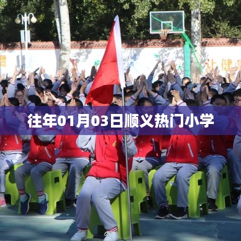 顺义区热门小学往年入学信息速递