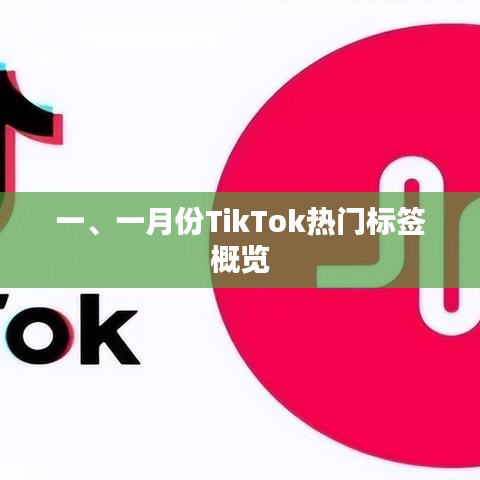 一月份TikTok热门标签大盘点