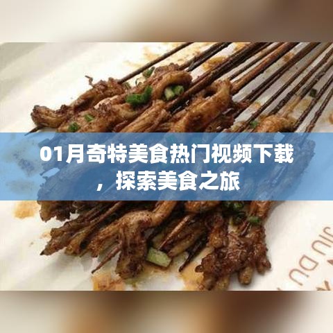 热门美食视频下载，一月美食探索之旅