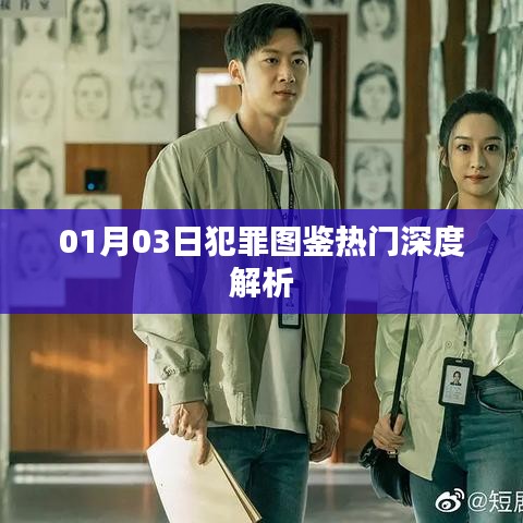 犯罪图鉴1月3日热门深度解析