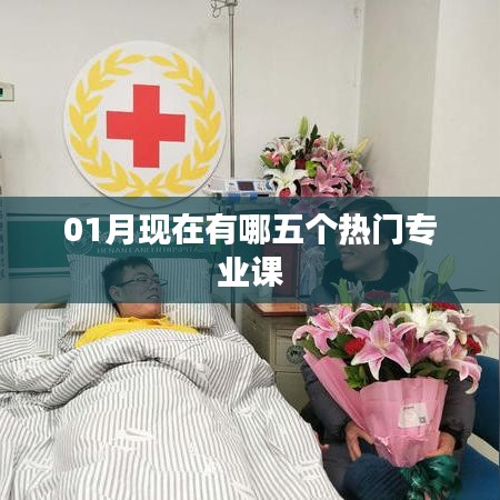 一月份五大热门专业课概览