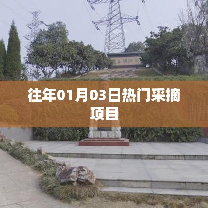 『新年首周采摘热，这些项目火爆开启』