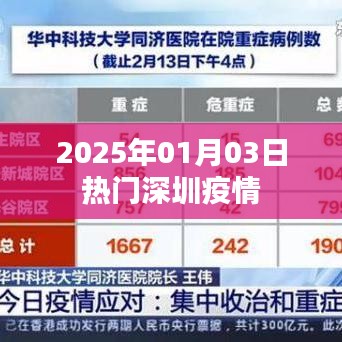 深圳疫情最新动态，2025年1月3日热点资讯