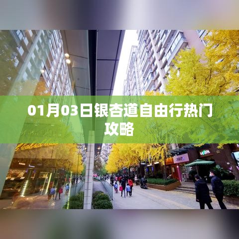 「独家推荐」银杏道自由行指南，热门攻略一网打尽