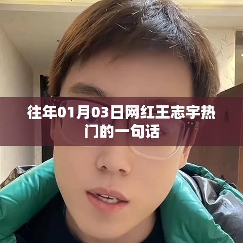 王志宇经典语录，一句话点燃全网热议