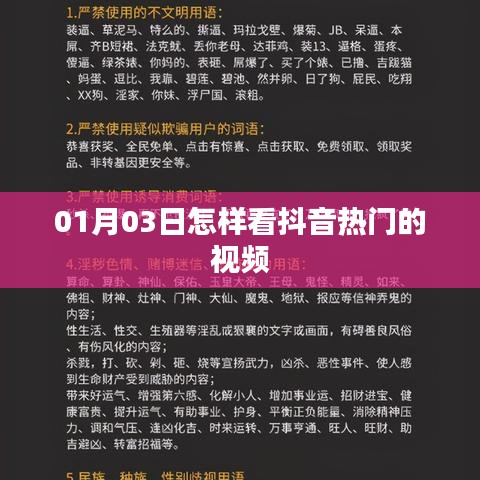 抖音热门视频观看指南，01月03日攻略速递
