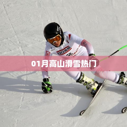 01月高山滑雪热潮涌动
