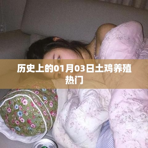 历史上的土鸡养殖热门日期，一月三日回顾