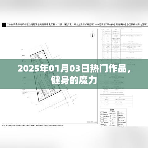 健身魔力，2025年热门作品展现