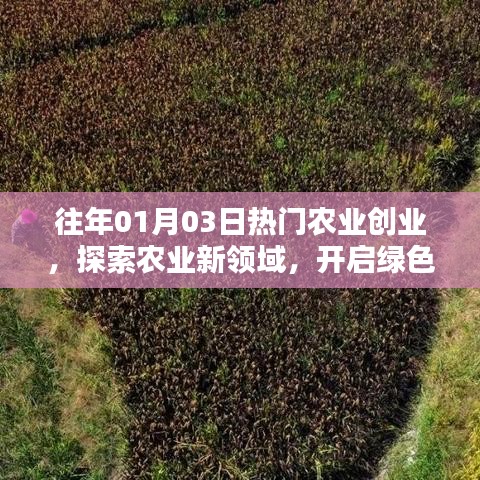 开启绿色财富之门，农业创业新领域探索