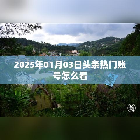 2025年热门头条账号观看指南