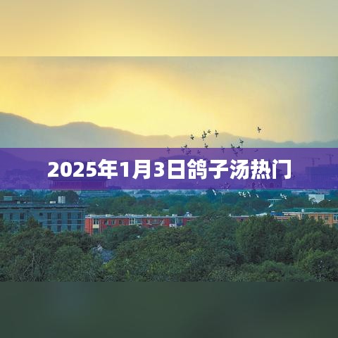 2025年鸽子汤流行趋势展望，新年新味美食体验