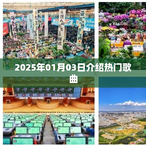 『每日推荐，2025年热门歌曲一网打尽』