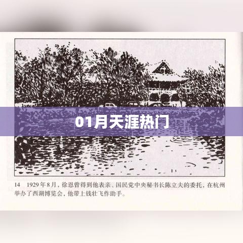 天涯热门话题大盘点