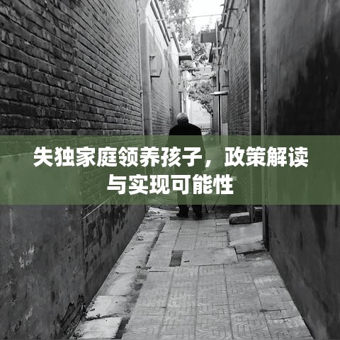 失独家庭领养孩子，政策解读与实现可能性