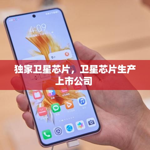 独家卫星芯片，卫星芯片生产上市公司 