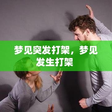 梦见突发打架，梦见发生打架 