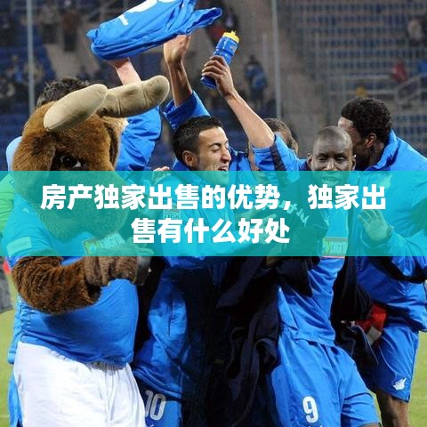 房产独家出售的优势，独家出售有什么好处 