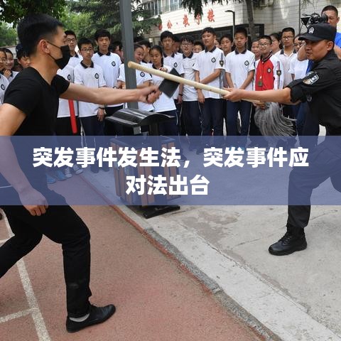 突发事件发生法，突发事件应对法出台 