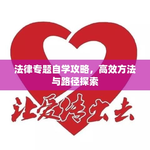 法律专题自学攻略，高效方法与路径探索