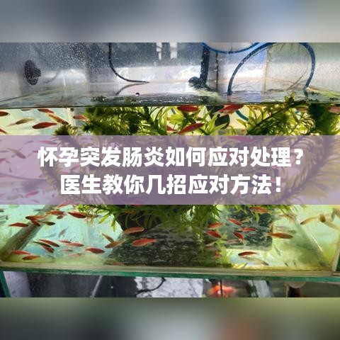 怀孕突发肠炎如何应对处理？医生教你几招应对方法！