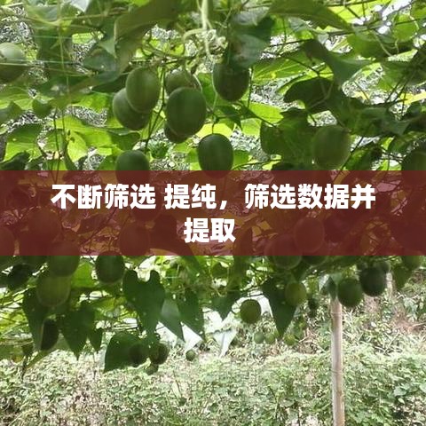 不断筛选 提纯，筛选数据并提取 