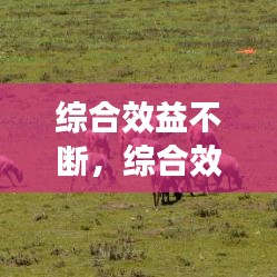 综合效益不断，综合效益指哪些 