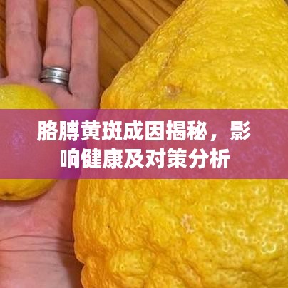 胳膊黄斑成因揭秘，影响健康及对策分析