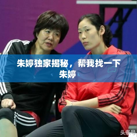 高不成低不就 第2页