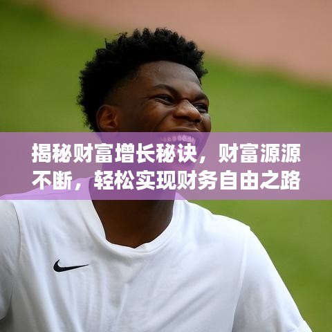 揭秘财富增长秘诀，财富源源不断，轻松实现财务自由之路