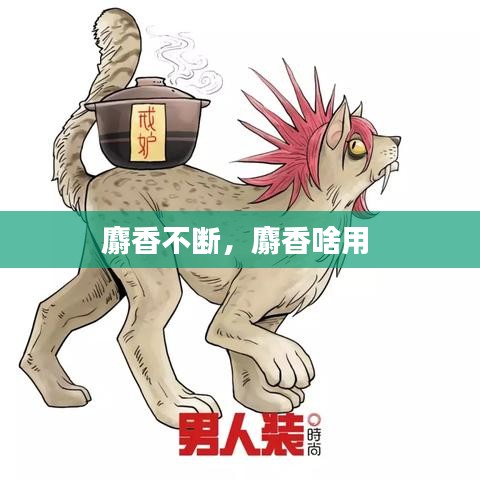 麝香不断，麝香啥用 