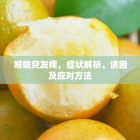 喉咙突发痒，症状解析、诱因及应对方法