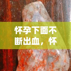 惊弦之鸟 第2页