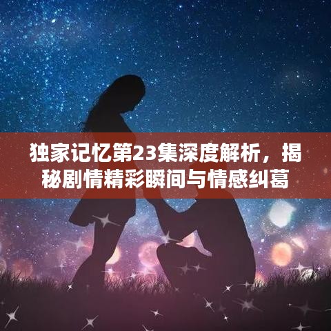 独家记忆第23集深度解析，揭秘剧情精彩瞬间与情感纠葛