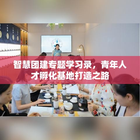 智慧团建专题学习录，青年人才孵化基地打造之路